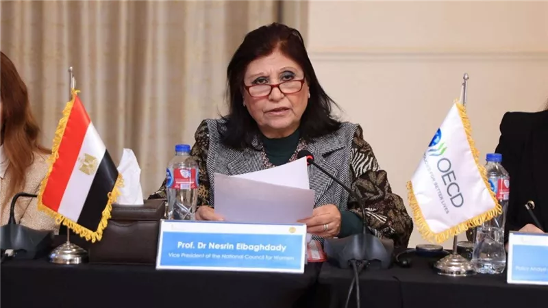 القومي للمرأة يتعاون مع وزارة التخطيط والتنمية الاقتصادية 