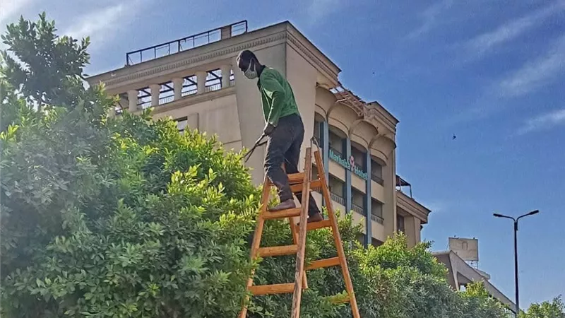محافظ أسوان يوجه بتكثيف أعمال النظافة ورفع المخلفات وتجميل الشوارع والميادين 