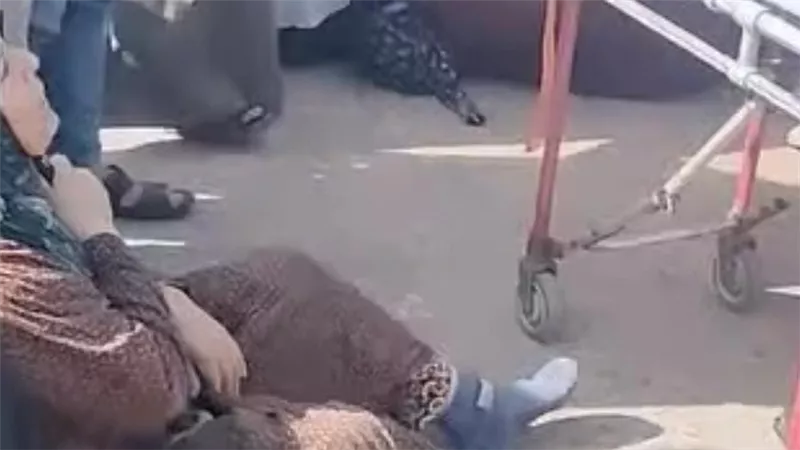 إصابة 14 شخصا في تصادم سيارتين على طريق طنطا كفر الشيخ