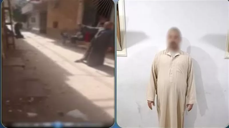 التحقيق مع عاطل حاول شنق كلب ضال في طنطا.. والمتهم: خفت على الأهالي من العقر