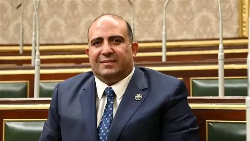 برلماني: إفريقيا بوابة مصر الاستراتيجية لمضاعفة الصادرات وتعزيز الأمن الاقتصاد