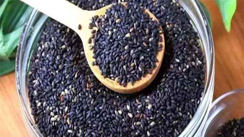 بذور السمسم الأسود لتعزيز نمو الشعر.. الطريقة الصحيحة للاستفادة من فوائده