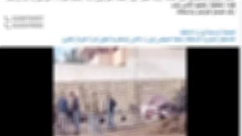 نزاع على أرض.. الداخلية تكشف حقيقة فيديو التهجم على سيدة وابنتها في الإسكندرية