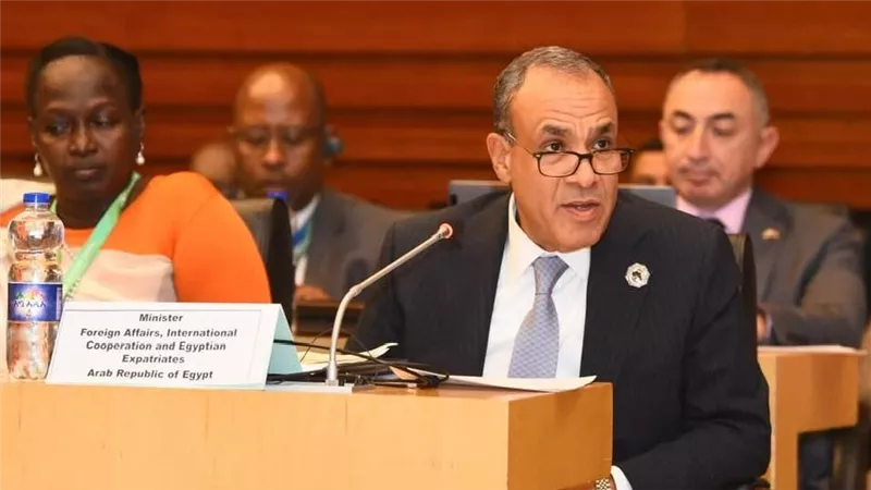 وزير الخارجية يجدد التزام مصر بدعم استرداد التراث الإفريقي 