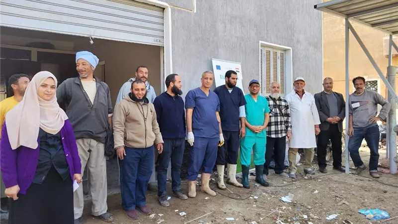 الزراعة: تنفيذ 5 قوافل بيطرية مجانية وبرنامج لرفع كفاءة الأطباء البيطريين 