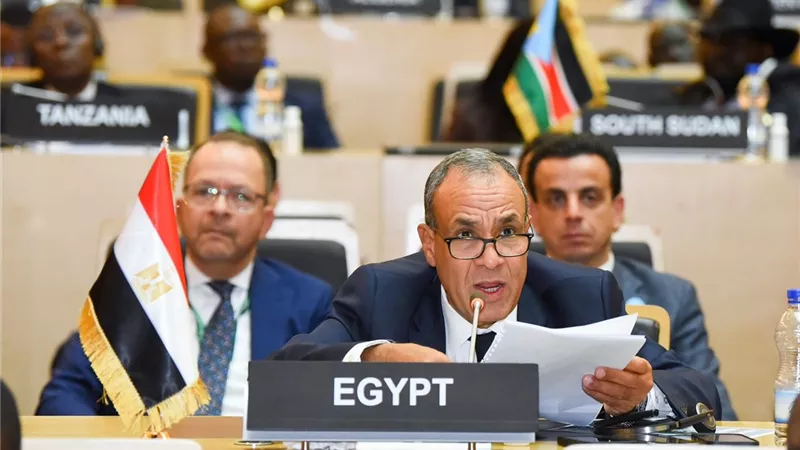 وزير الخارجية: المواقف الأفريقية دائمًا سند وداعم للقضية الفلسطينية 