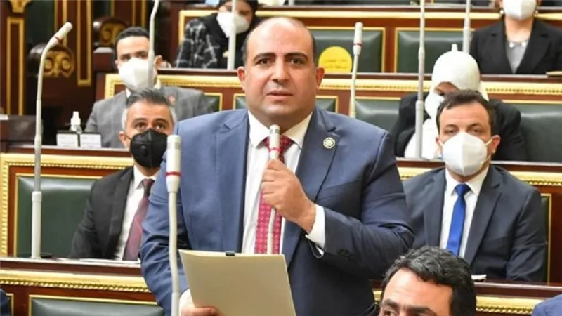 برلماني: قمة الرئيس وولي العهد ترسم ملامح مرحلة جديدة من الشراكة الاستراتيجية 