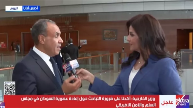 بدرعبد العاطي: لا للحلول العسكرية.. ووحدة الدولة الوطنية خط أحمر في أفريقيا