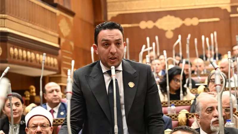 «أبو زهرة» يطالب بتوحيد بروتوكولات العلاج لتوفير العدالة والحد من التأخير
