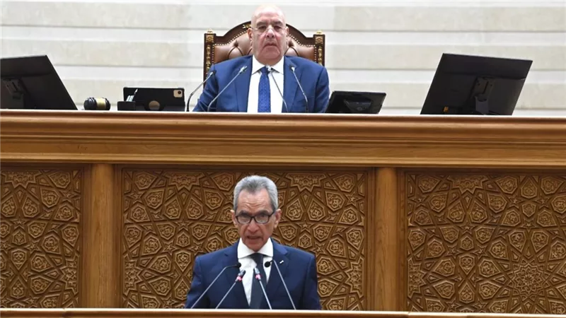 النواب يحيل مشروعات قوانين مقدمة من عُشر الأعضاء للجان.. أبرزها المحليات