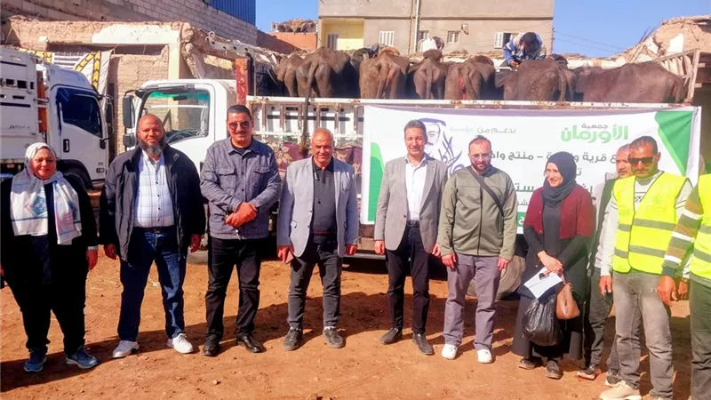 إحتفالية لتوزيع عدد 50 رأس ماشية عشار للأسر الأولى بالرعاية بالشرقية