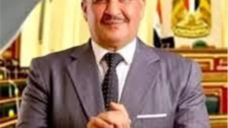 النائب محمود المنوفي: تعديلات سجل المستوردين في توقيت هام لضبط الاستيراد 