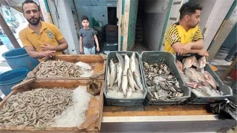 أجازة سوق السمك في دمياط أول يوم رمضان عادة راسخة منذ عقود