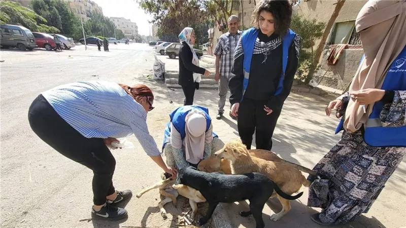 تحصين 85 كلبًا ضالًا وتوعية المواطنين في حملة موسعة بمدينة العبور