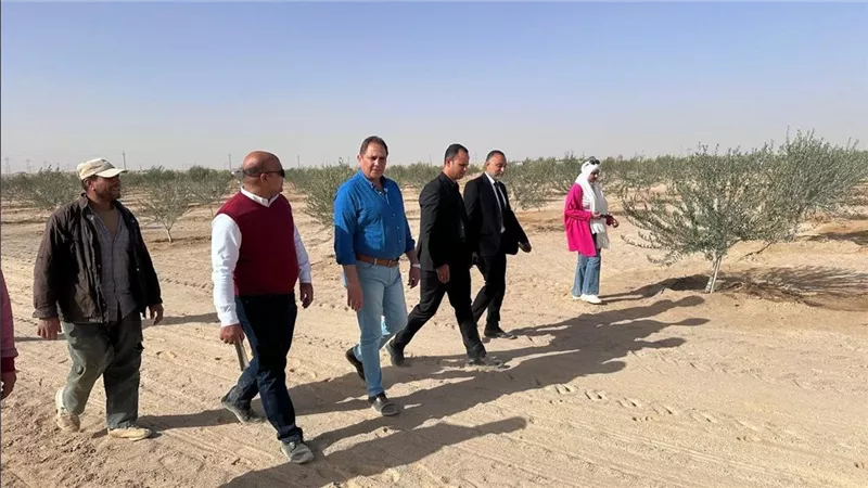 مركز خدمات النثيلة يستقبل وفدا من القيادات التنفيذية لمحافظة شمال سيناء