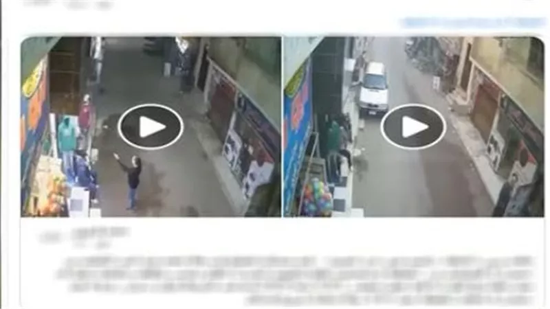 انتهت بالتصالح في النيابة.. الداخلية تكشف حقيقة فيديو بلطجة البحيرة