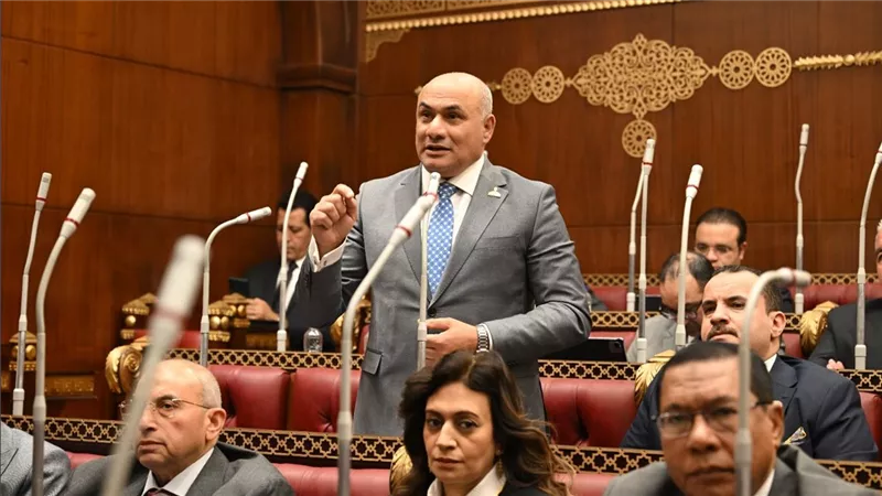 شعبان رأفت يطالب بمناقشة عامة حول التحول الرقمي لتطوير الأداء الحكومي