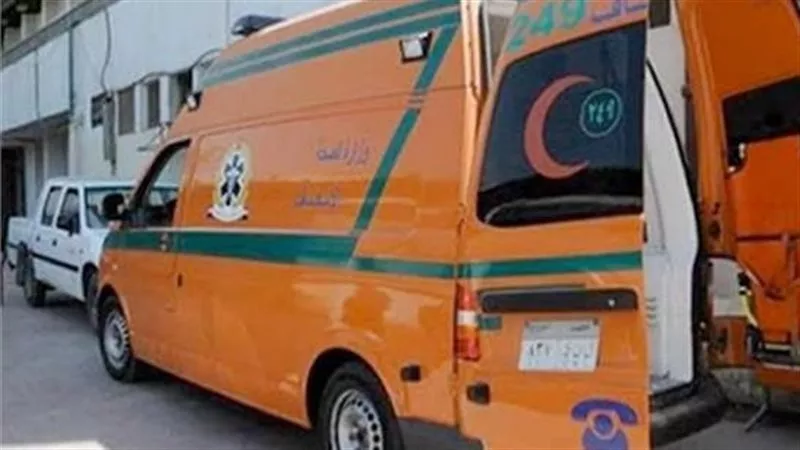 ضبط سائق سيارة إسعاف بمحاولة تهريب 9 أفارقة بأسوان