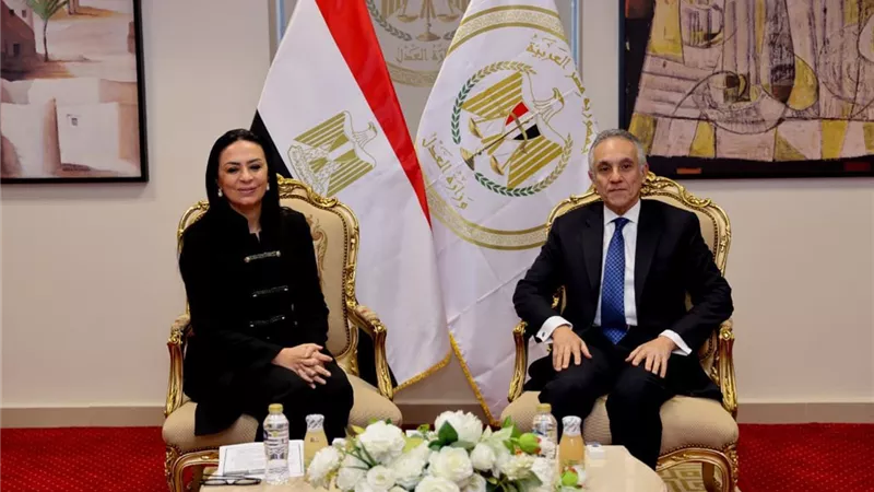وزيرا العدل والتضامن الاجتماعي يبحثان تعزيز التعاون في مجالات العمل المشترك