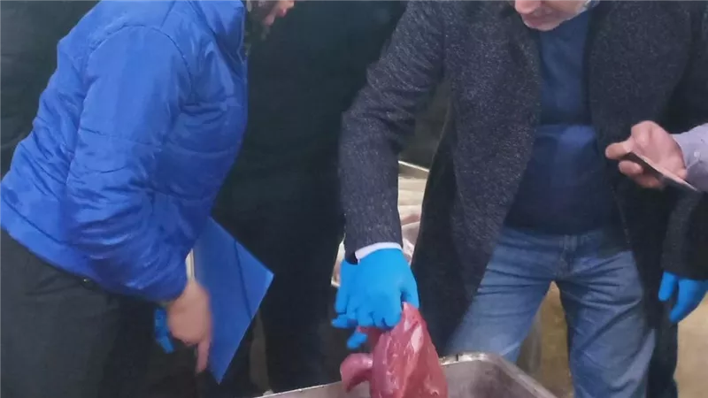 ضبط كميات كبيرة من اللحوم والدواجن الغير صالحة للاستهلاك الادمى بالقليوبية 