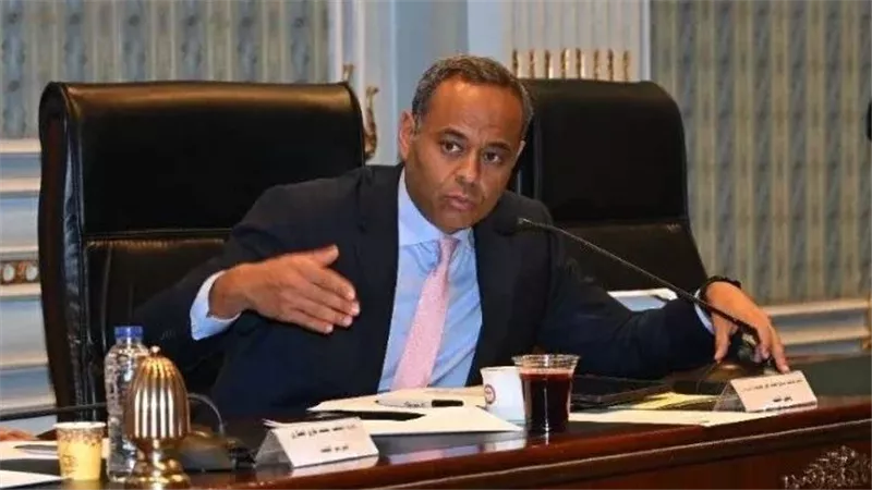 توريث سياسي.. خبيرة تثير الجدل بعد انتخاب سامح السادات رئيسًا للإصلاح والتنمية