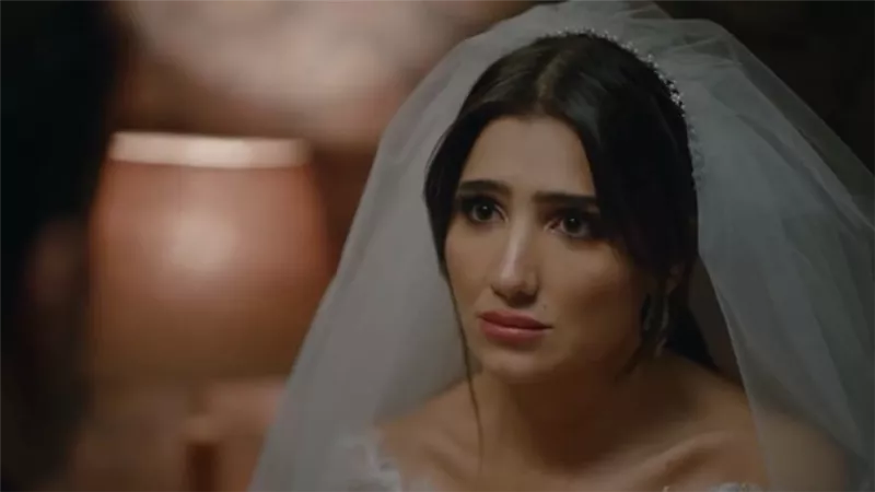 منها الست موناليزا.. لجنة الدراما تشيد بخمس مسلسلات في رمضان 2026
