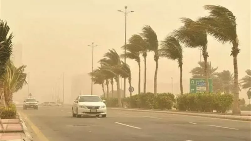 «الأرصاد» تحذر من شبورة ورياح وغيوم بالسويس اليوم السبت 21 فبراير 2026
