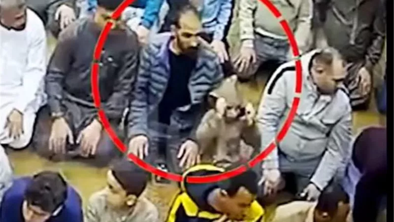«يؤدون صلاة التراويح».. تفاصيل أخر ظهور لرجل ونجله ضحيتي الاعتداء بقرية باسوس
