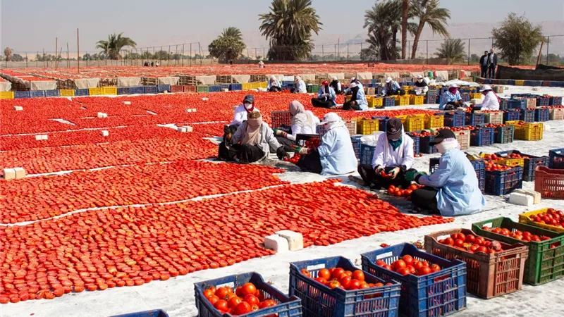تحليل أكثر من 34.5 ألف عينة.. 