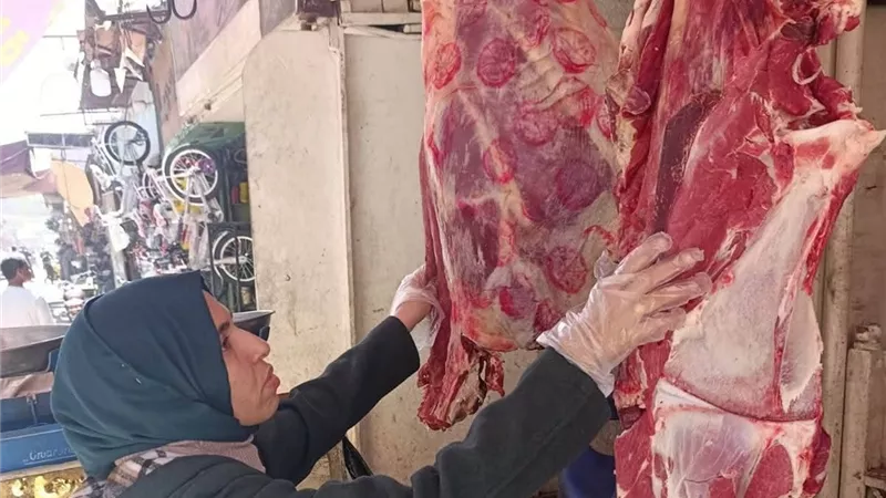 بتوجيهات من المحافظ بيطري أسوان يشن حملة تفتيشية موسعة علي محلات الجزارة