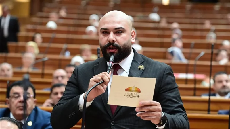 الديب: قرارات النائب العام خطوة لحماية حقوق الأطفال وتعزيز إنفاذ القانون |خاص