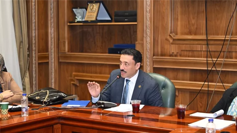 النائب محمد رزق: تكريم الرئيس للفريق عبد المجيد صقر تقدير لرموز العطاء الوطني