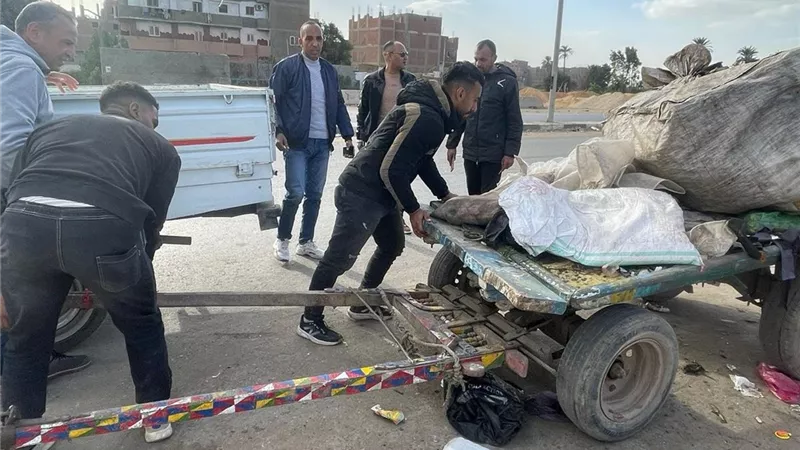 التحفظ على 57 عربة كارو وتروسيكل خلال حملات للتصدي للنباشين والفريزة بالجيزة