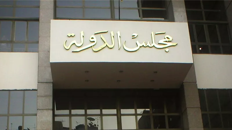 اليوم.. نظر دعوى لإلغاء تطبيق السعر الموحد على عداد كهرباء كودي