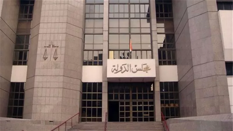 16 مايو.. نظر دعوى لإلغاء تطبيق السعر الموحد على عداد كهرباء كودي