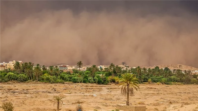 تراجع العواصف الترابية في شمال إفريقيا منذ الثمانينيات