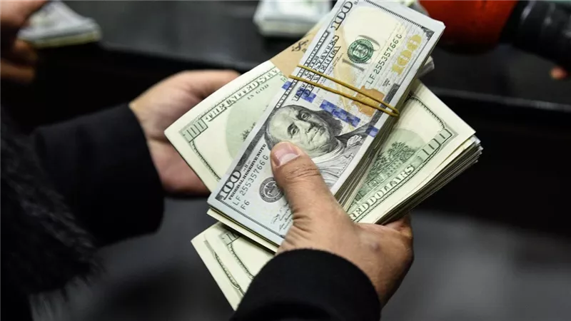 47.3 مليار دولار.. خالد علي يعلق على تحويلات المصريين العاملين بالخارج