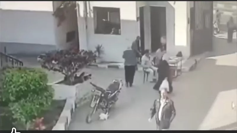 تعيين مدير جديد لمديرية الزراعة بالغربية بعد حادثة الاعتداء بمقر العمل