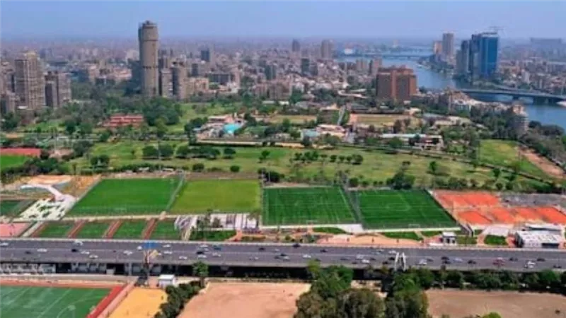 تعدى على لاعب .. التنمية الشبابية بالجزيرة يحول مدرب السباحة للشئون القانونية 