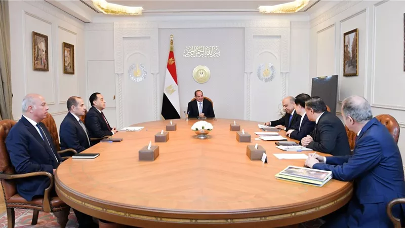 السيسي يستقبل رئيس شركة GCL الصينية لبحث تعزيز التعاون في الطاقة المتجددة