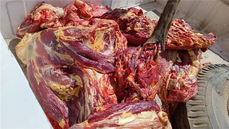 ضبط 97 كيلو لحوم فاسدة بأرمنت.. الطب البيطري والتموين يضربان بيد من حديد