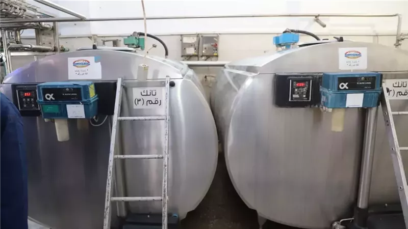 مراكز تجميع الألبان.. خطوة هامة لتعزيز الإنتاج ودعم صغار المربين | تفاصيل 
