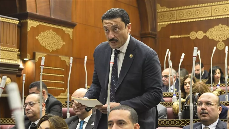 النائب محمد رزق يتقدم باقتراح برغبة لتنظيم المحتوى على منصات التواصل الاجتماعي
