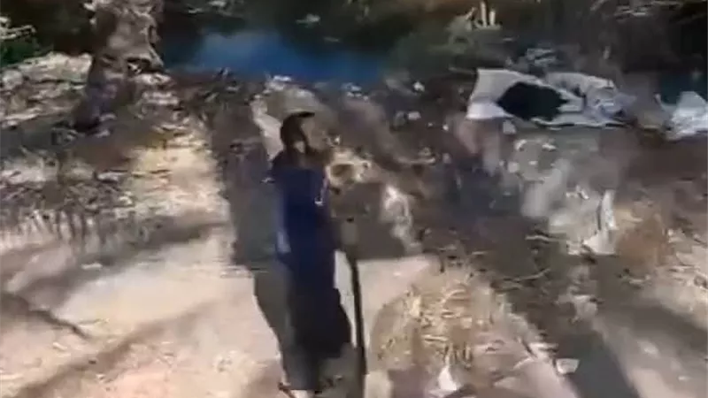 رماها في الترعة وضربها بالشوم.. الأمن يفحص فيديو اعتداء شخص على سيدة بدمنهور