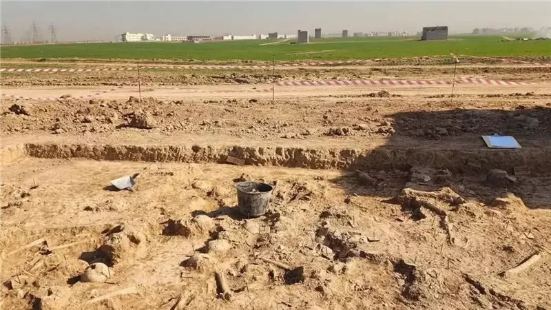 عمرها 1400 عام.. اكتشاف مقبرة جماعية تضم أكثر من 100 جمجمة
