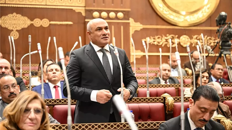 عضو بالشيوخ: مصر تتحرك بثوابت راسخة لحماية القضية الفلسطينية ورفض التهجير
