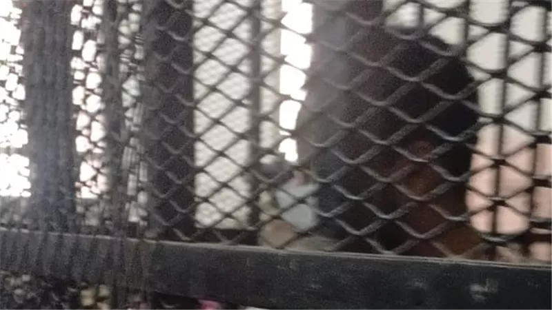  ياسين جديد.. السجن المؤبد للمتهم بهتك عرض طفل داخل محل