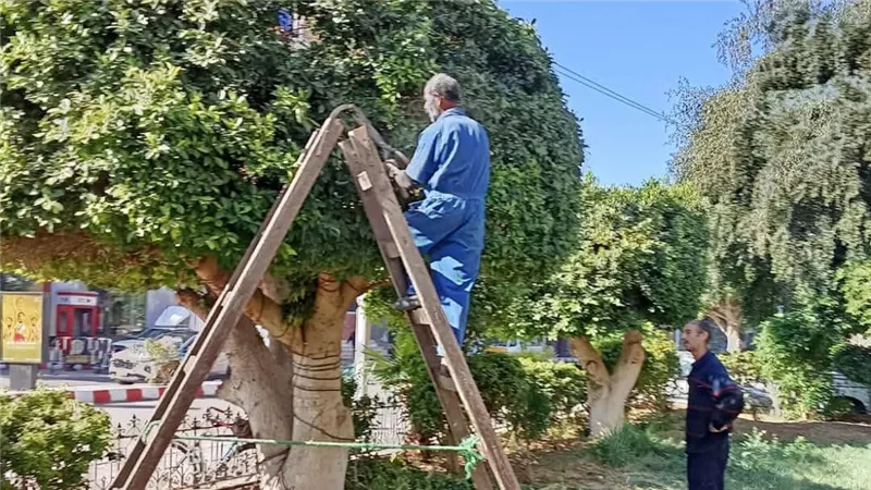 رئيس مدينة قنا يتابع استكمال أعمال القسم الزراعي بحديقة أمام بنك الإسكندرية