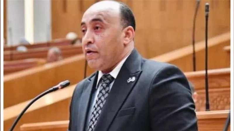 الدعم التمويني وسوق العقارات وتنمية المشروعات..حسام حسن يتقدم بـ3 طلبات إحاطة 