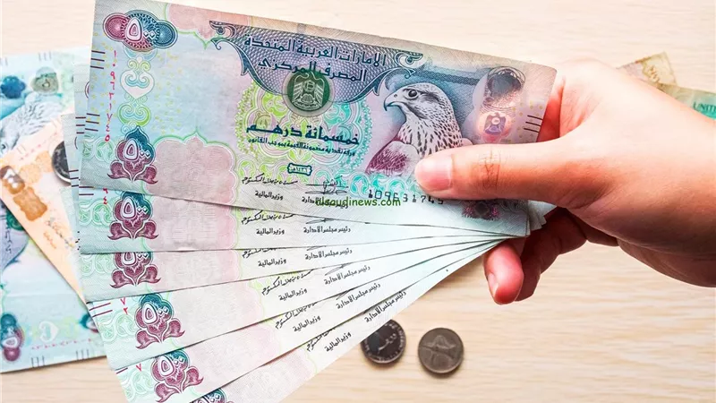 سعر صرف الدرهم الإماراتي مقابل الجنيه اليوم السبت 28 فبراير 2026